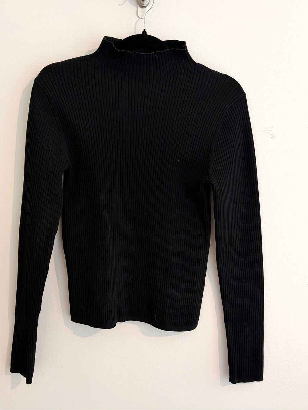 Aritzia Black Ribbed Turtleneck